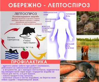 /Files/images/профілактика лептоспірозу.png