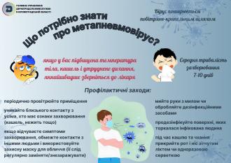 /Files/images/інфорграфіка метапневмовірус (2).jpg