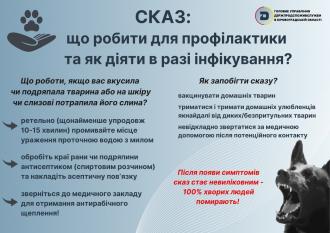/Files/images/photo_2025-01-09_11-33-59 (сказ).jpg